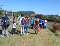 05.05 - Turismo Rural, Vinho e Fazenda Histórica 